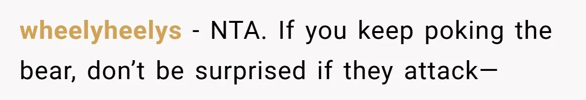 wheelyheelys − NTA. If you keep poking the bear, don’t be surprised if they attack—