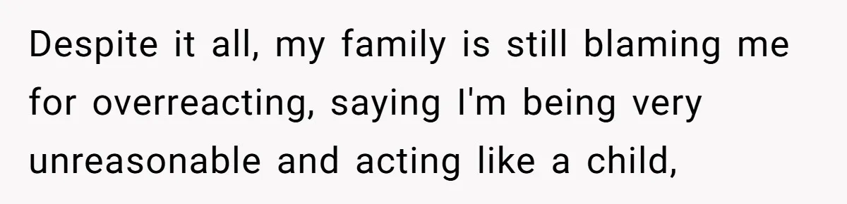 Despite it all, my family is still blaming me for overreacting, saying I'm being very unreasonable and acting like a child,