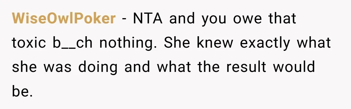 WiseOwlPoker − NTA and you owe that toxic b__ch nothing. She knew exactly what she was doing and what the result would be.
