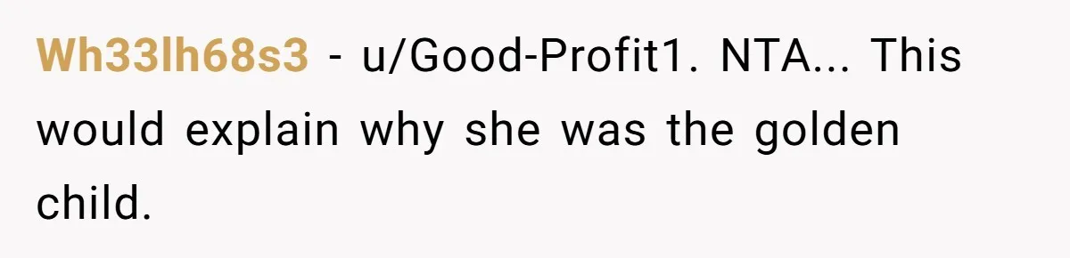 Wh33lh68s3 − u/Good-Profit1. NTA... This would explain why she was the golden child.
