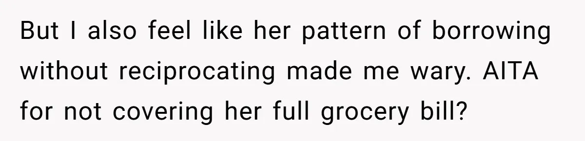 But I also feel like her pattern of borrowing without reciprocating made me wary. AITA for not covering her full grocery bill?