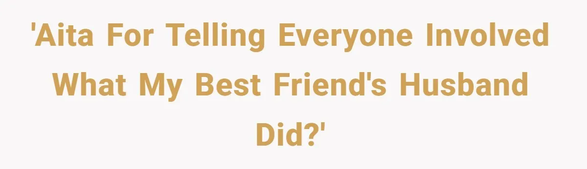 'AITA for telling everyone involved what my best friend's husband did?'
