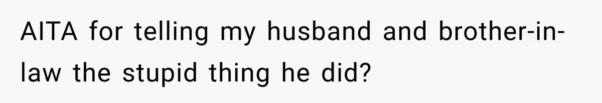 AITA for telling my husband and brother-in-law the stupid thing he did?