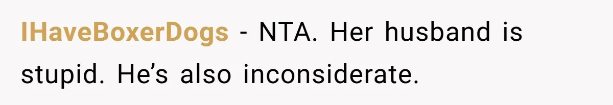 IHaveBoxerDogs − NTA. Her husband is stupid. He’s also inconsiderate.