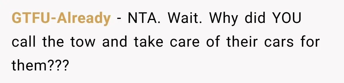 GTFU-Already − NTA. Wait. Why did YOU call the tow and take care of their cars for them???