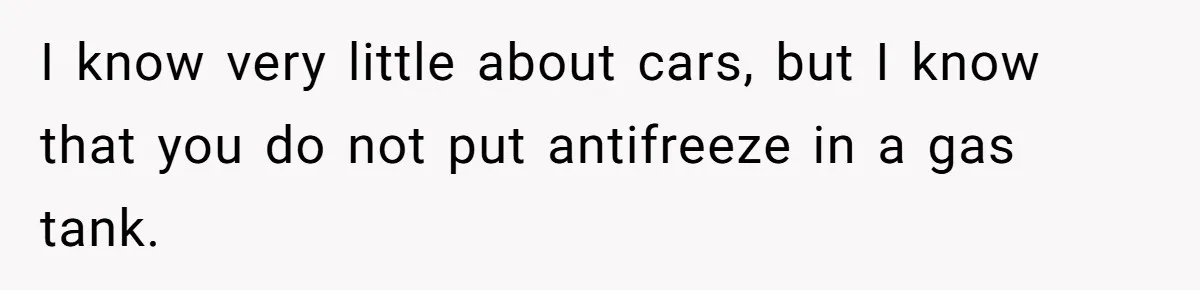 I know very little about cars, but I know that you do not put antifreeze in a gas tank.
