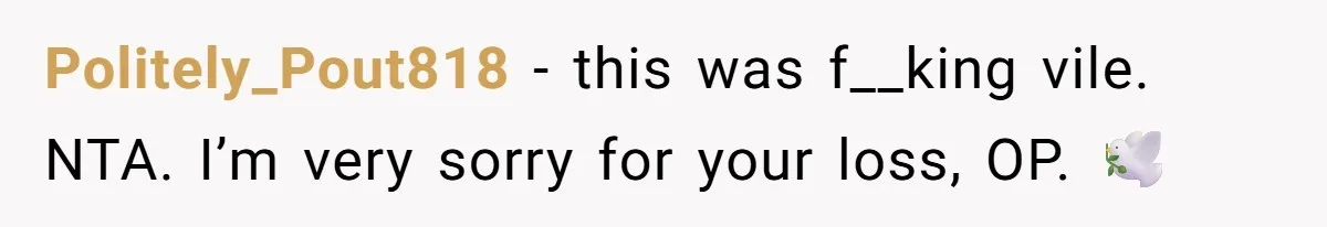 Politely_Pout818 − this was f__king vile. NTA. I’m very sorry for your loss, OP. 🕊️