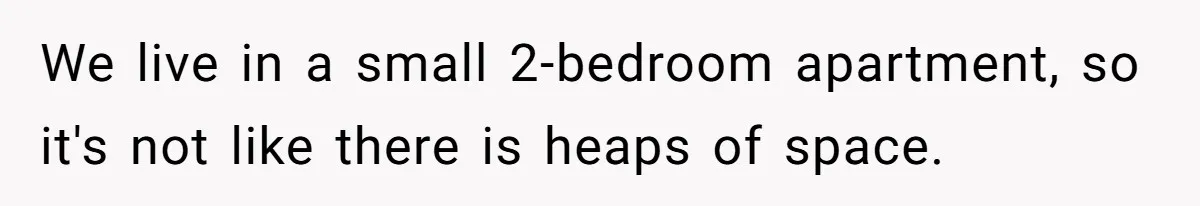 We live in a small 2-bedroom apartment, so it's not like there is heaps of space.