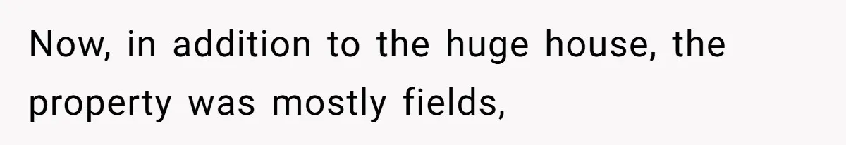 Now, in addition to the huge house, the property was mostly fields,