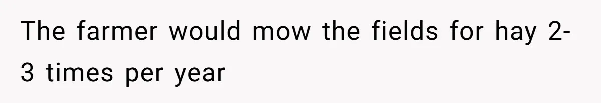 The farmer would mow the fields for hay 2-3 times per year