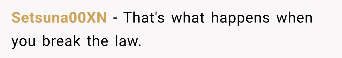 Setsuna00XN − That's what happens when you break the law.