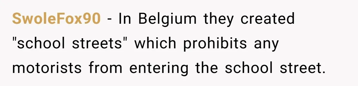 SwoleFox90 − In Belgium they created "school streets" which prohibits any motorists from entering the school street.