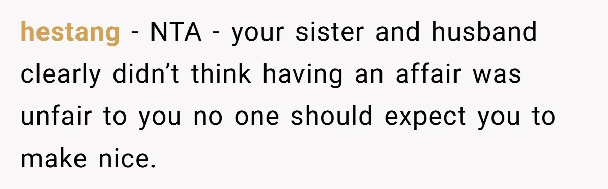 hestang − NTA - your sister and husband clearly didn’t think having an affair was unfair to you no one should expect you to make nice.
