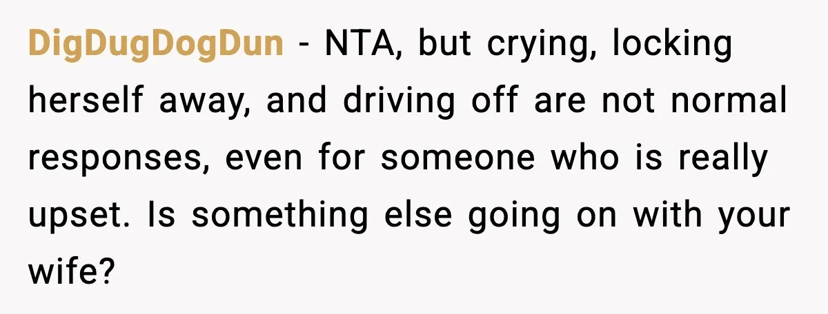 DigDugDogDun - NTA, but crying, locking herself away, and driving off are not normal responses, even for someone who is really upset. Is something else going on with your wife?
