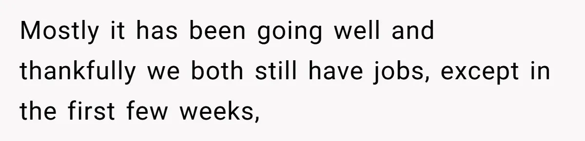 Mostly it has been going well and thankfully we both still have jobs, except in the first few weeks,