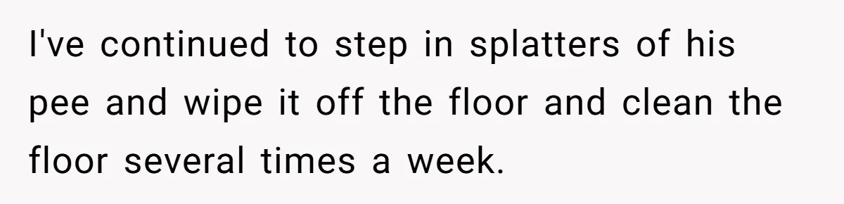 I've continued to step in splatters of his pee and wipe it off the floor and clean the floor several times a week.