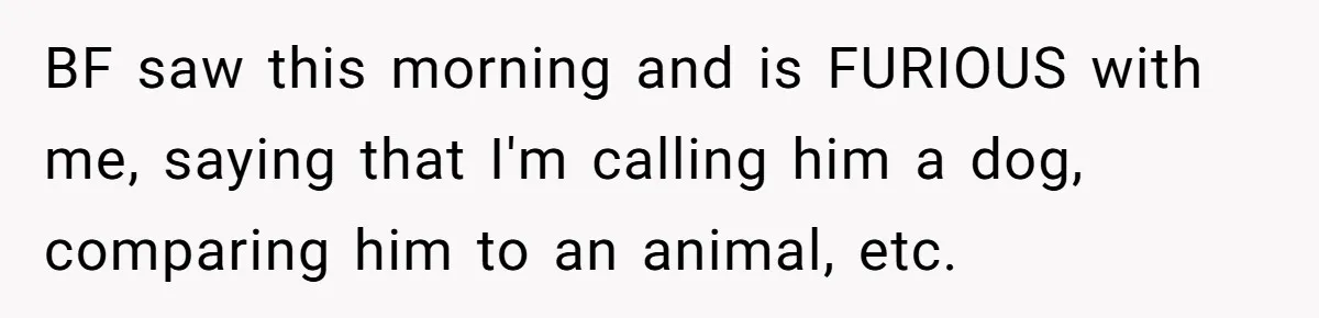 BF saw this morning and is FURIOUS with me, saying that I'm calling him a dog, comparing him to an animal, etc.
