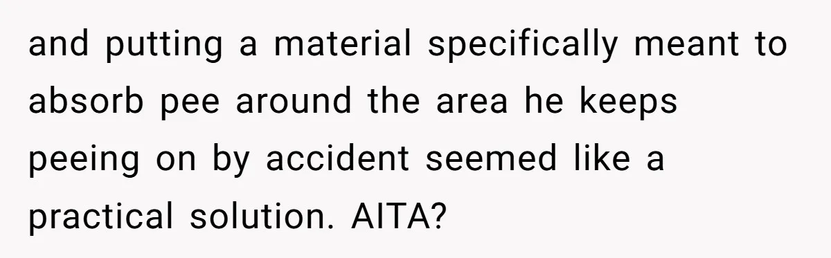 and putting a material specifically meant to absorb pee around the area he keeps peeing on by accident seemed like a practical solution. AITA?