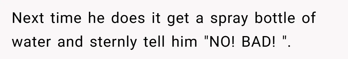 Next time he does it get a spray bottle of water and sternly tell him "NO! BAD! ".