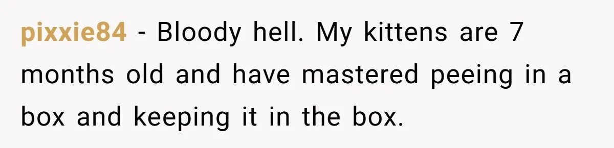pixxie84 − Bloody hell. My kittens are 7 months old and have mastered peeing in a box and keeping it in the box.