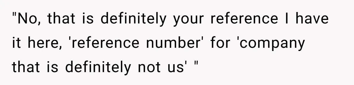 "No, that is definitely your reference I have it here, 'reference number' for 'company that is definitely not us' "