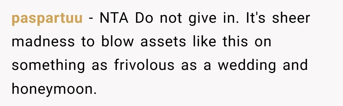 paspartuu − NTA Do not give in. It's sheer madness to blow assets like this on something as frivolous as a wedding and honeymoon.
