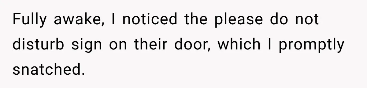 Fully awake, I noticed the please do not disturb sign on their door, which I promptly snatched.