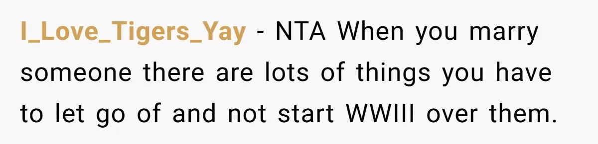 I_Love_Tigers_Yay − NTA When you marry someone there are lots of things you have to let go of and not start WWIII over them.