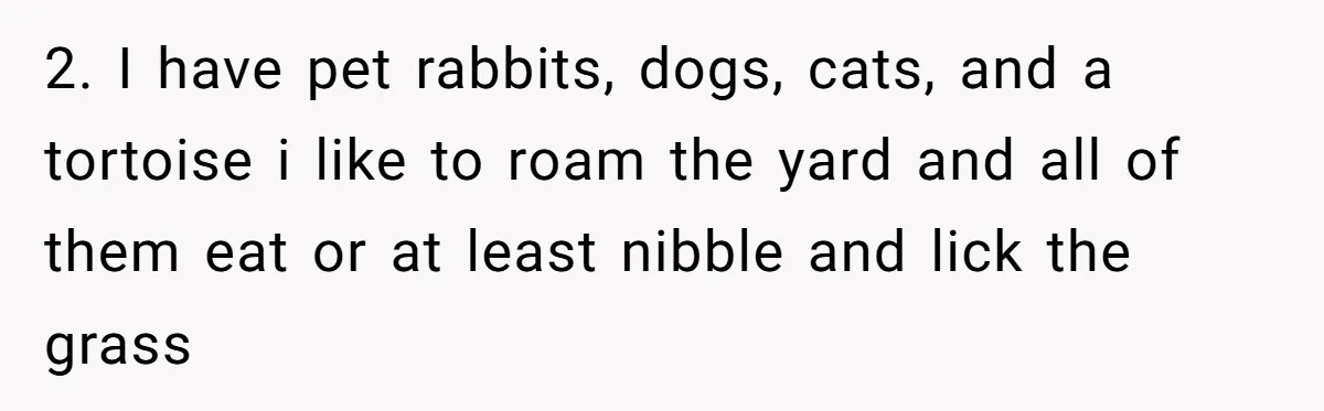 2. I have pet rabbits, dogs, cats, and a tortoise i like to roam the yard and all of them eat or at least nibble and lick the grass