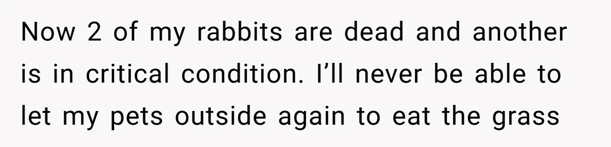Now 2 of my rabbits are dead and another is in critical condition. I’ll never be able to let my pets outside again to eat the grass