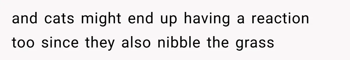 and cats might end up having a reaction too since they also nibble the grass