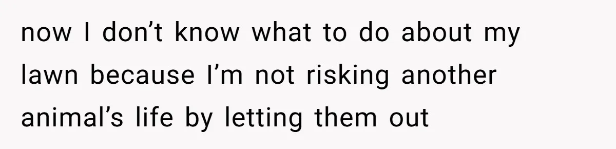 now I don’t know what to do about my lawn because I’m not risking another animal’s life by letting them out