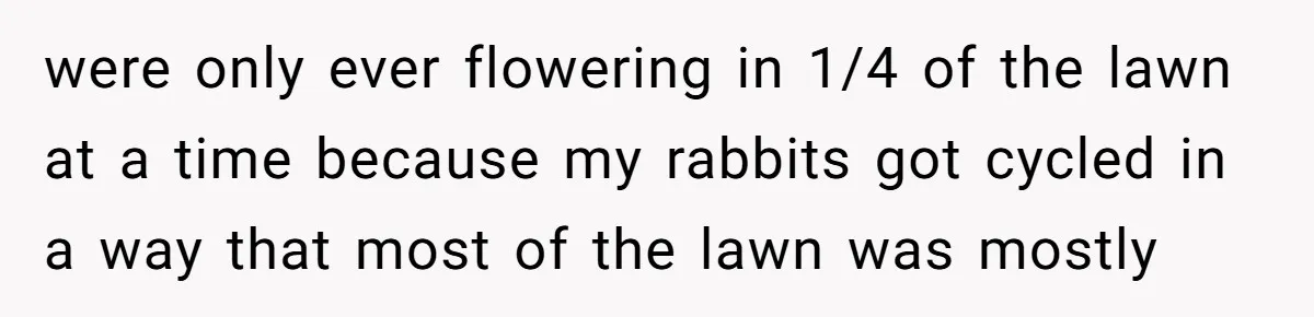 were only ever flowering in 1/4 of the lawn at a time because my rabbits got cycled in a way that most of the lawn was mostly
