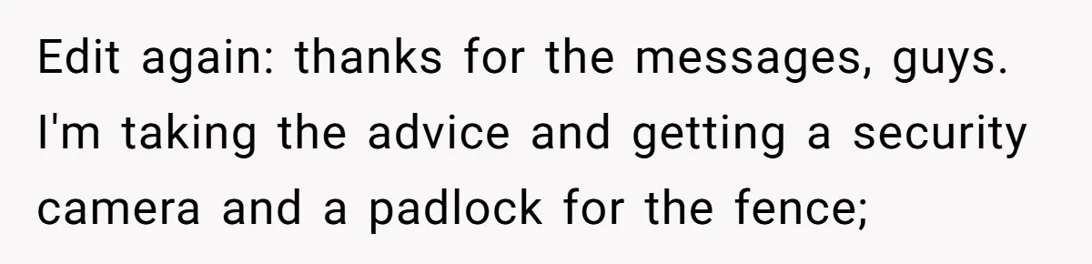 Edit again: thanks for the messages, guys. I'm taking the advice and getting a security camera and a padlock for the fence;