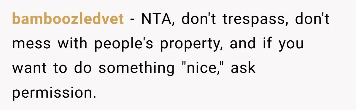 bamboozledvet − NTA, don't trespass, don't mess with people's property, and if you want to do something "nice," ask permission.
