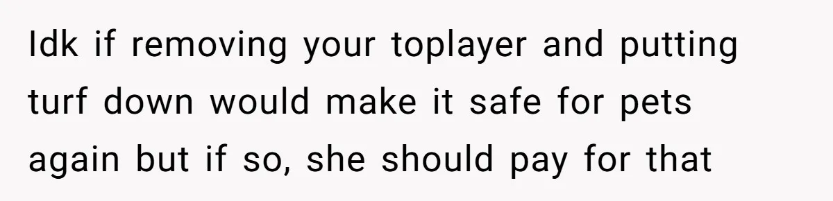 Idk if removing your toplayer and putting turf down would make it safe for pets again but if so, she should pay for that