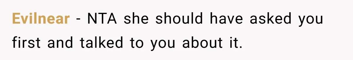 Evilnear − NTA she should have asked you first and talked to you about it.