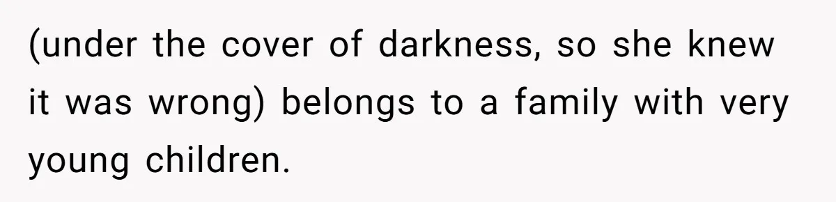 (under the cover of darkness, so she knew it was wrong) belongs to a family with very young children.
