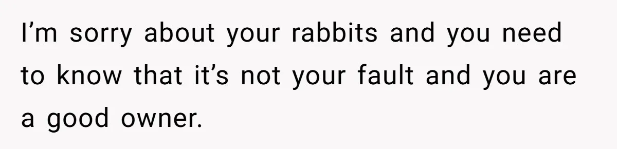 I’m sorry about your rabbits and you need to know that it’s not your fault and you are a good owner.