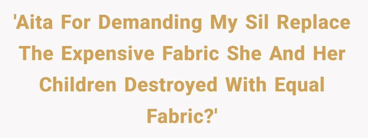 'AITA for DEMANDING my SIL replace the expensive fabric she and her children DESTROYED with EQUAL fabric?'