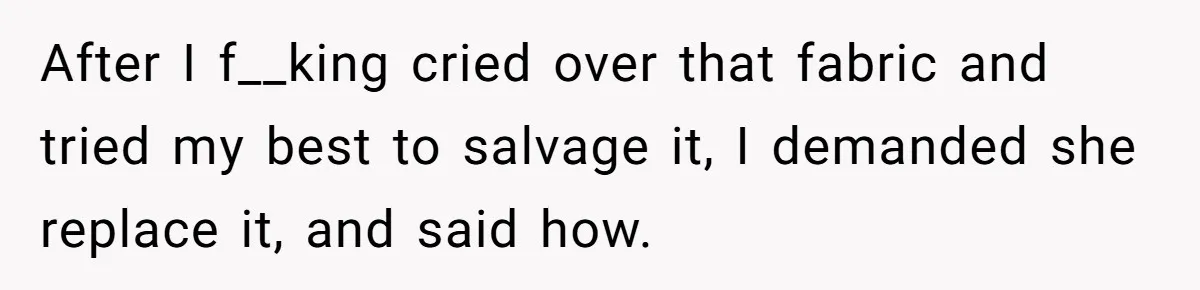 After I f__king cried over that fabric and tried my best to salvage it, I demanded she replace it, and said how.