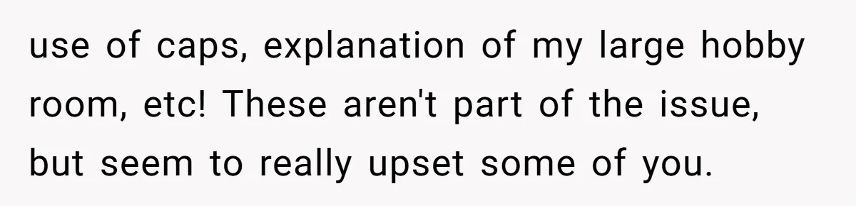 use of caps, explanation of my large hobby room, etc! These aren't part of the issue, but seem to really upset some of you.