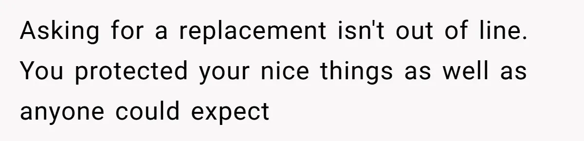 Asking for a replacement isn't out of line. You protected your nice things as well as anyone could expect