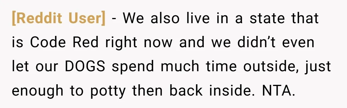 [Reddit User] − We also live in a state that is Code Red right now and we didn’t even let our DOGS spend much time outside, just enough to potty...