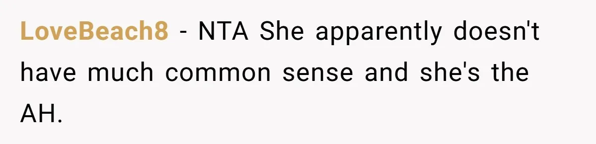 LoveBeach8 − NTA She apparently doesn't have much common sense and she's the AH.
