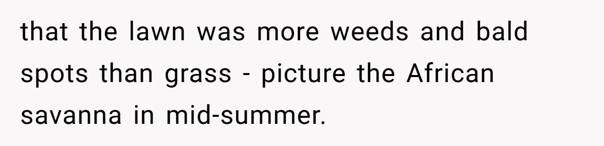 that the lawn was more weeds and bald spots than grass - picture the African savanna in mid-summer.