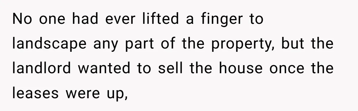 No one had ever lifted a finger to landscape any part of the property, but the landlord wanted to sell the house once the leases were up,
