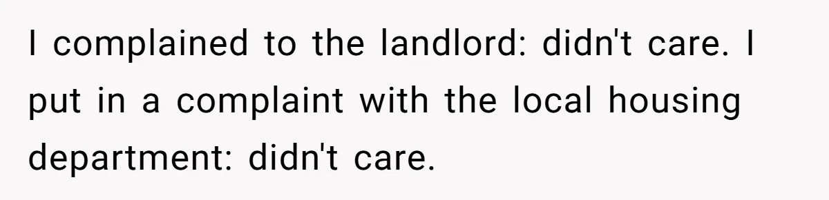 I complained to the landlord: didn't care. I put in a complaint with the local housing department: didn't care.