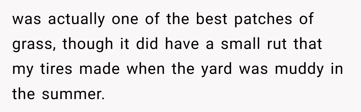 was actually one of the best patches of grass, though it did have a small rut that my tires made when the yard was muddy in the summer.