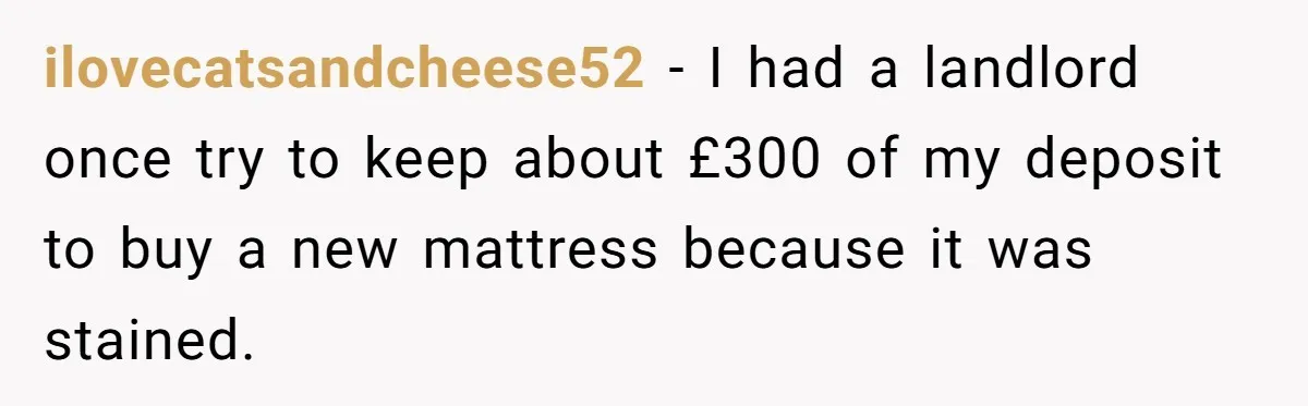 ilovecatsandcheese52 − I had a landlord once try to keep about £300 of my deposit to buy a new mattress because it was stained.